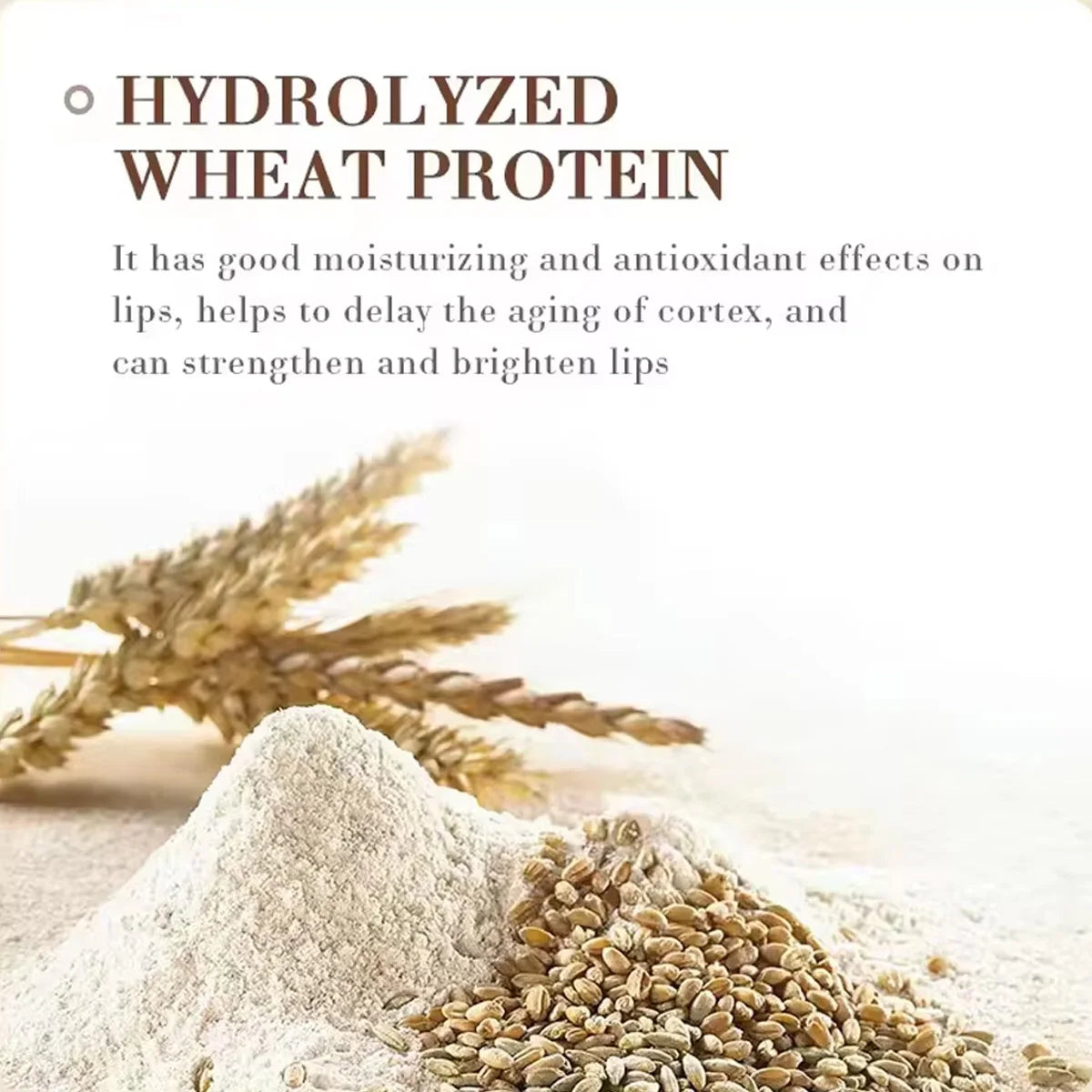 Coconut Moisturizing Lip Balm Anti-Dry Hydrating Removing Lip Wrinkles Dead Skin Lip Care Lasting Nourishment for Men Women